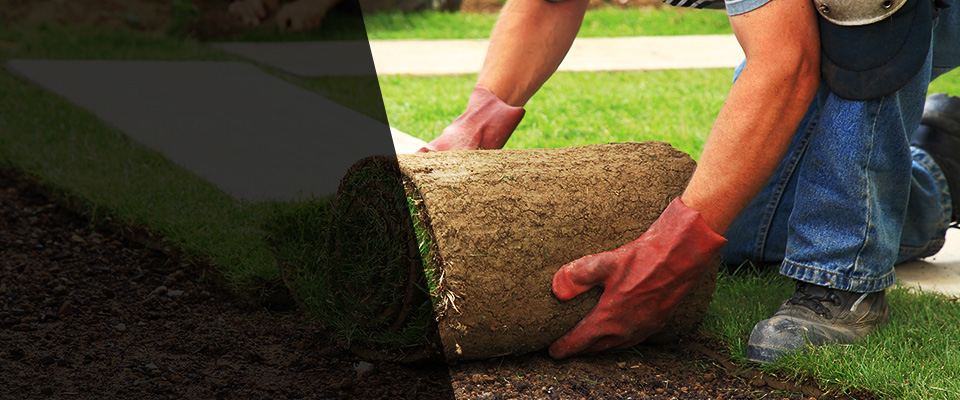La Junta Landscapers